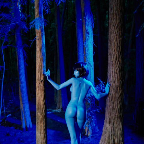 Tifa Special Makeup (Avatar-Blue) ED Clasc/ED085